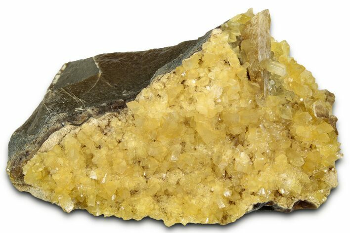 Honey Colored Barite Crystal on Fluorescent Calcite - Elk Creek #330370